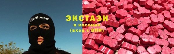 ECSTASY Каменка