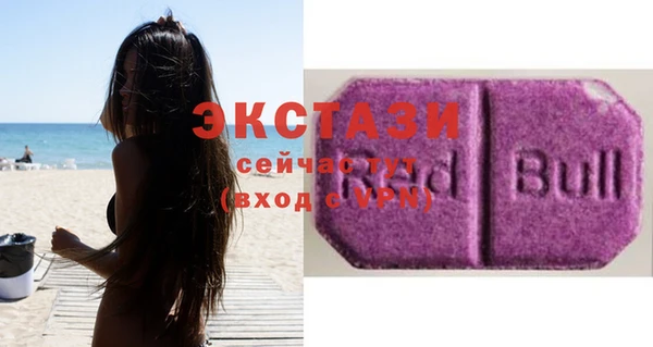 ECSTASY Каменка