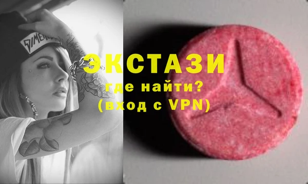 ECSTASY Каменка