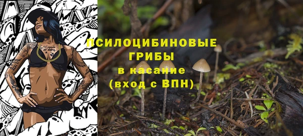ECSTASY Каменка