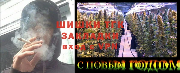 тгк Каменск-Шахтинский