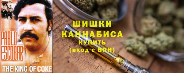 ECSTASY Каменка