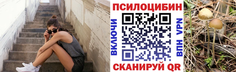 Купить закладки  Спас-Клепики  Галлюциногенные грибы мухоморы 